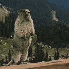 生產BOM1.jpg 生產BOM